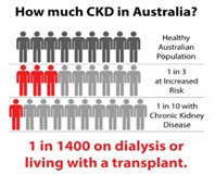 CKD