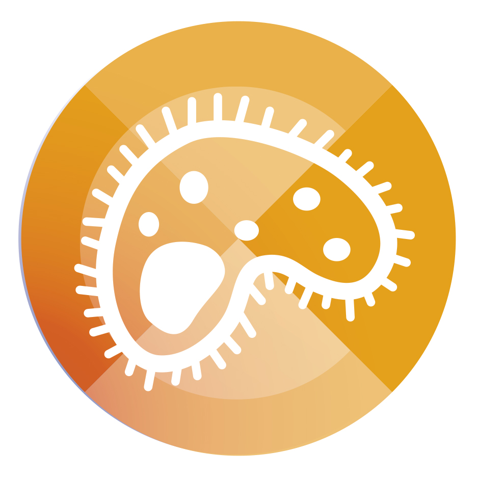 Preventing and Controlling Healthcare-associated Infection Standard icon