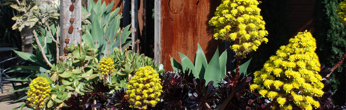 Sustainable gardens at Royal Talbot Rehabilitation Centre