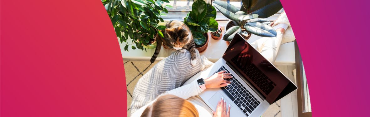 Person at home using laptop with cat nearby
